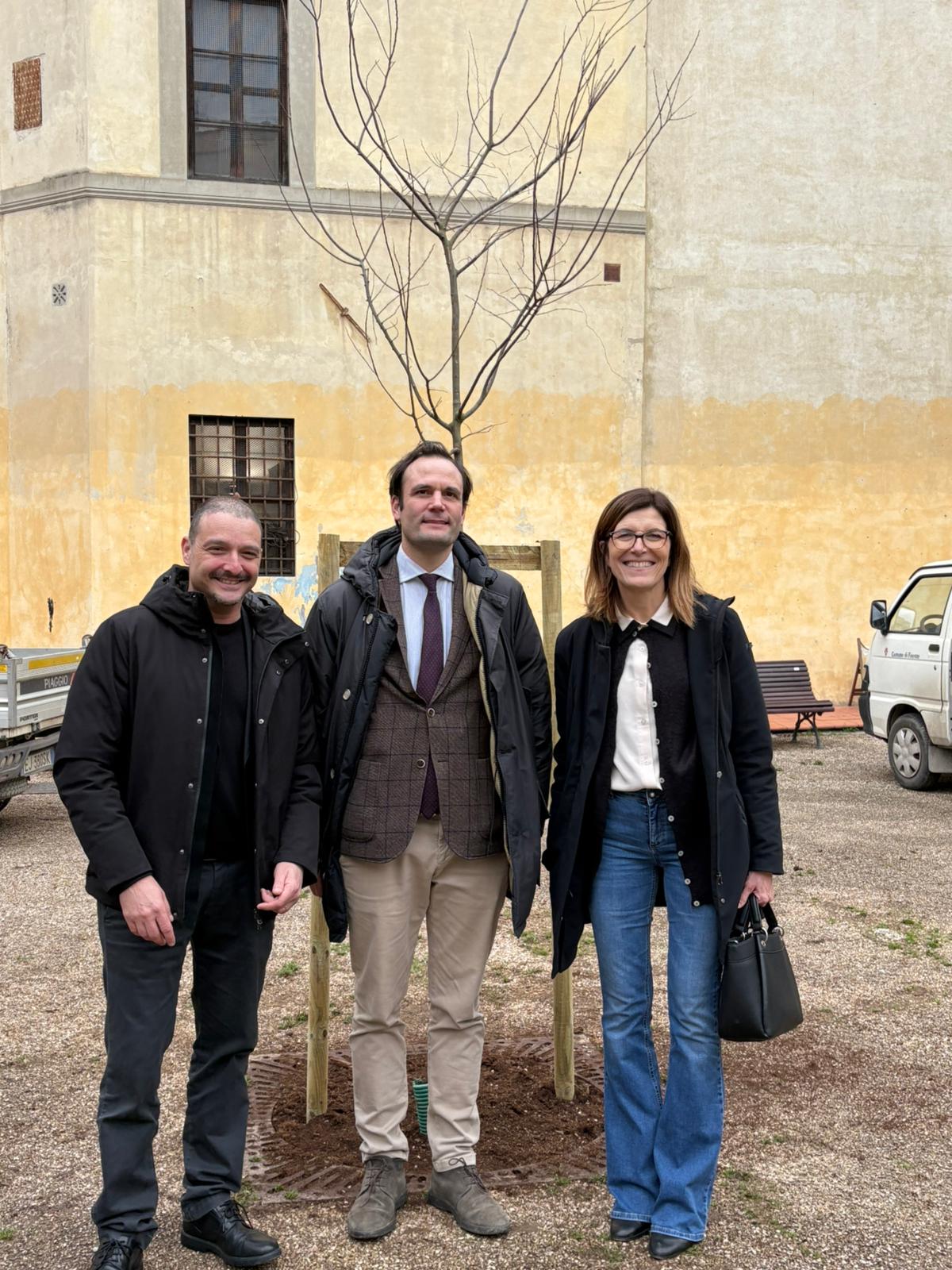 Un albero per Alessandro Chelazzi Un albero per Alessandro Chelazzi