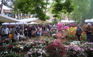 Mercato di piante al giardino dell'Orticoltura