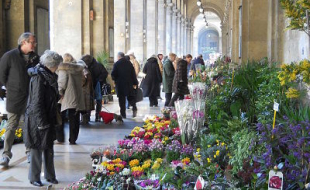 Mercato delle piante - Pellicceria