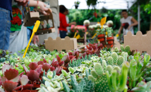Mercato di piante al giardino dell'Orticoltura