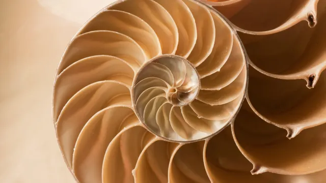 Fibonacci