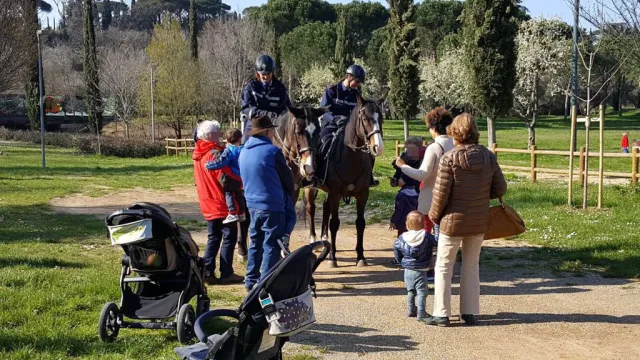 vigili a cavallo.jpeg