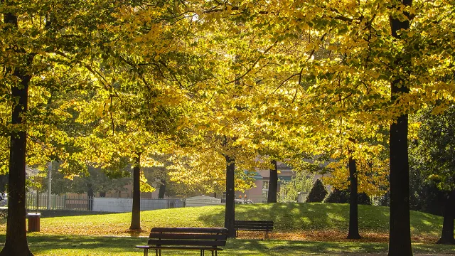 Immagine del parco di Villa Vogel