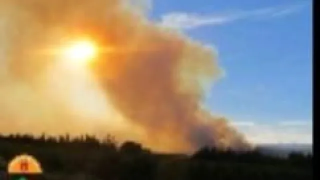 INCENDI BOSCHIVI.jpg