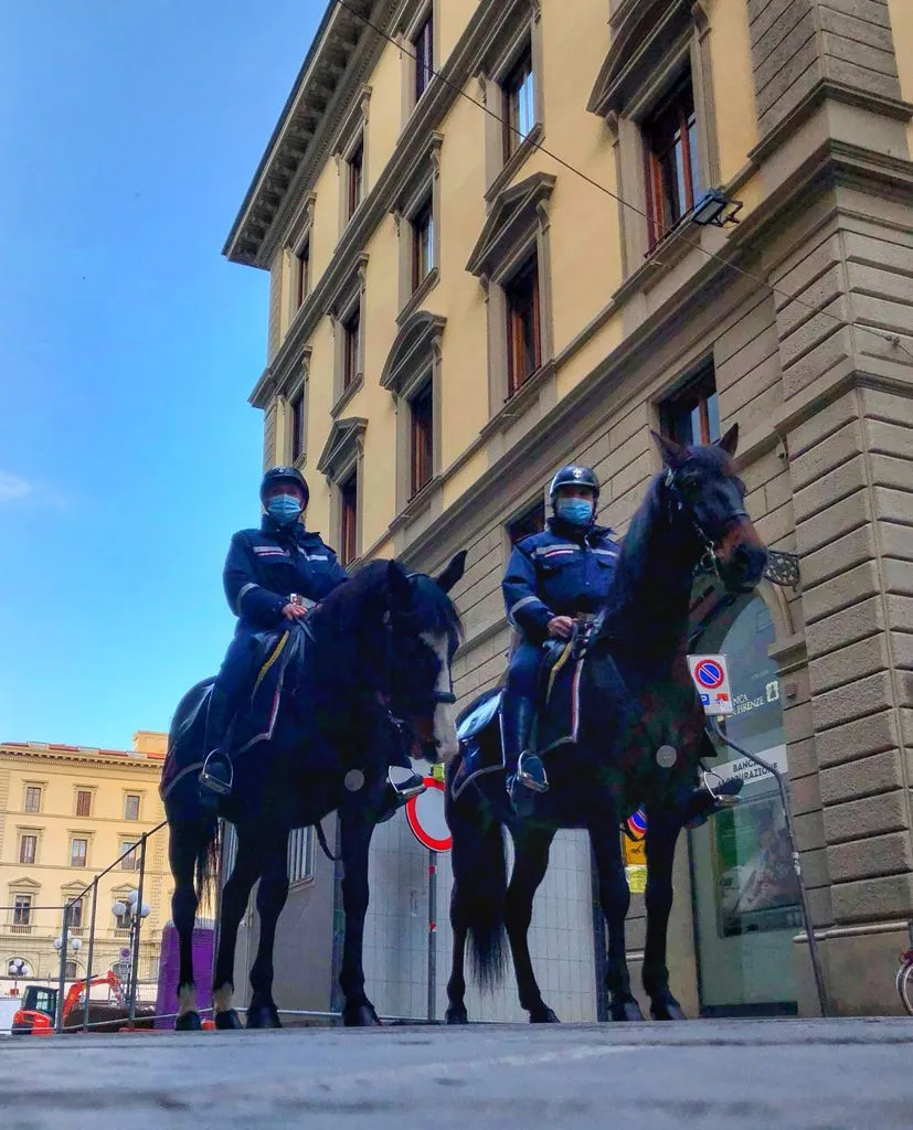 polizia cavallo 1.jpeg