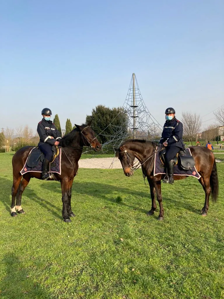 polizxia a cavallo2.jpeg