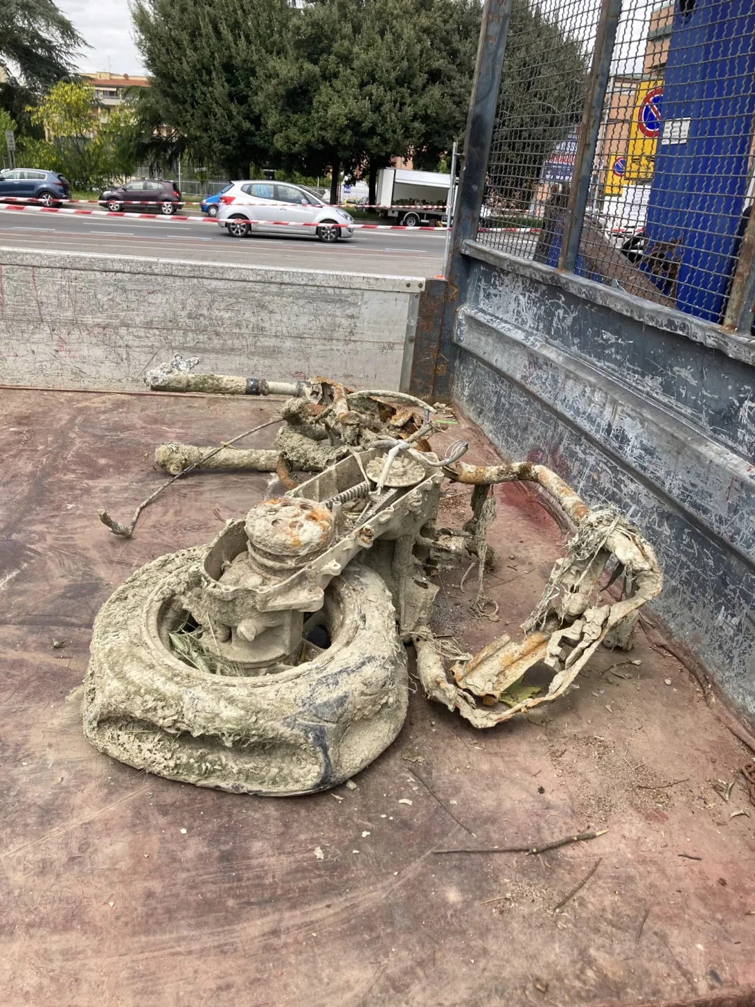 Image.jpeg
