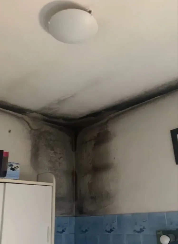 Abitazioni Erp via Pistoiese