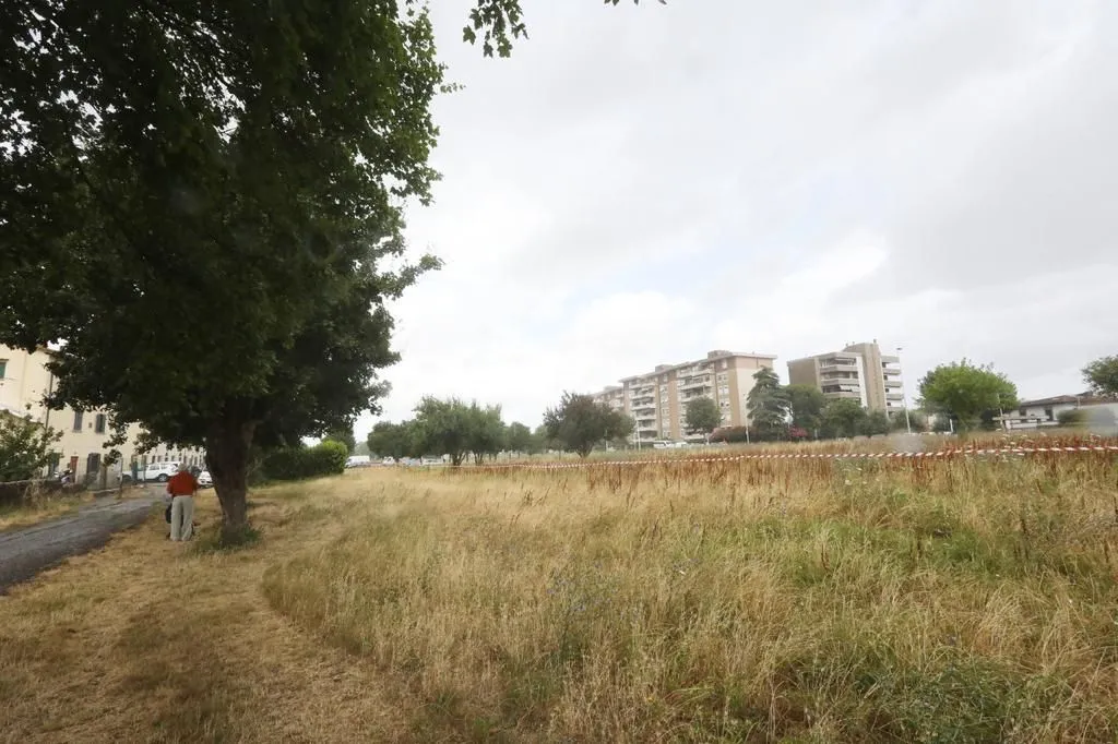 Sanbartolo1.jpeg Sanbartolo1.jpeg