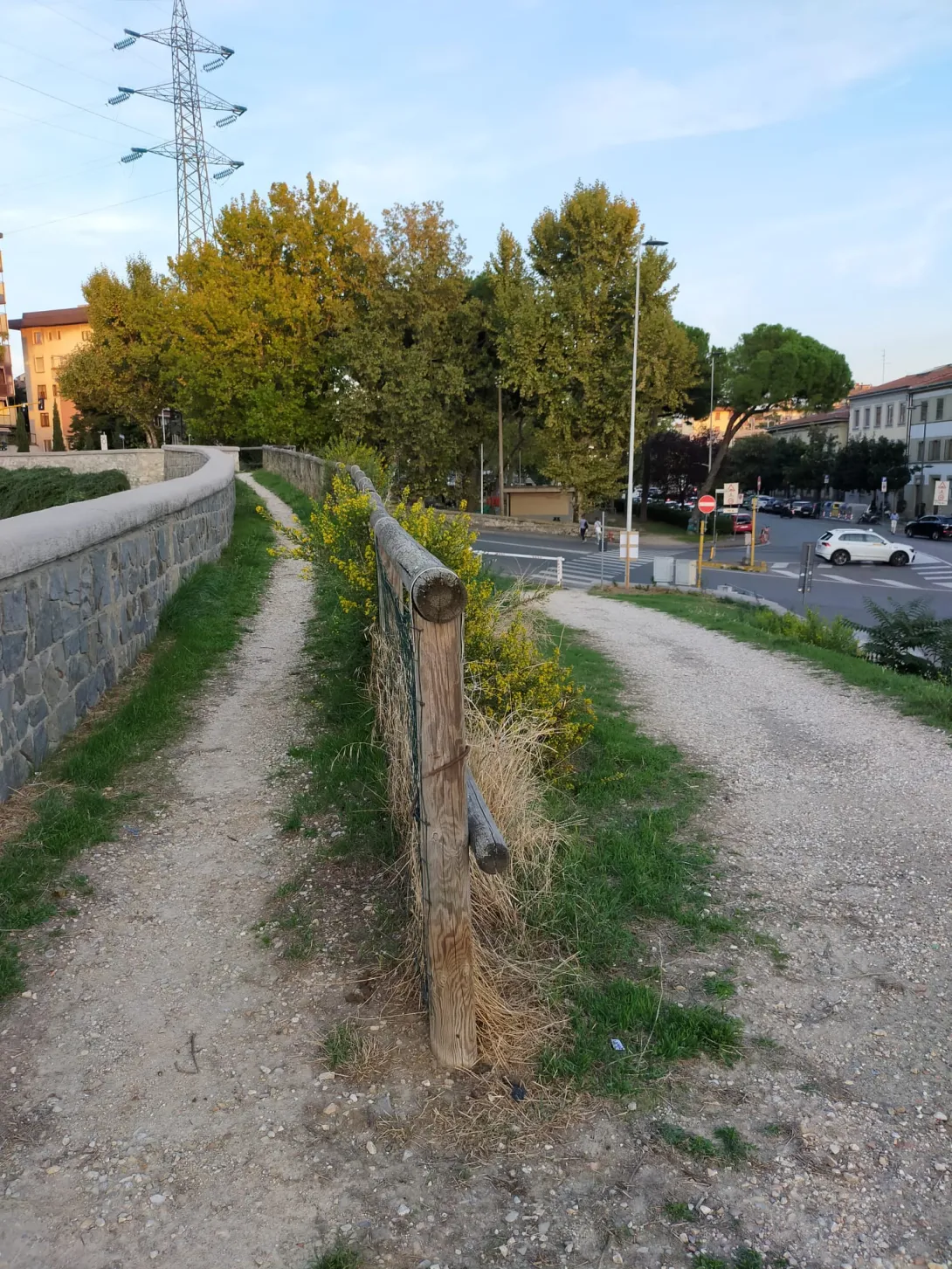 mugnone2.jpg