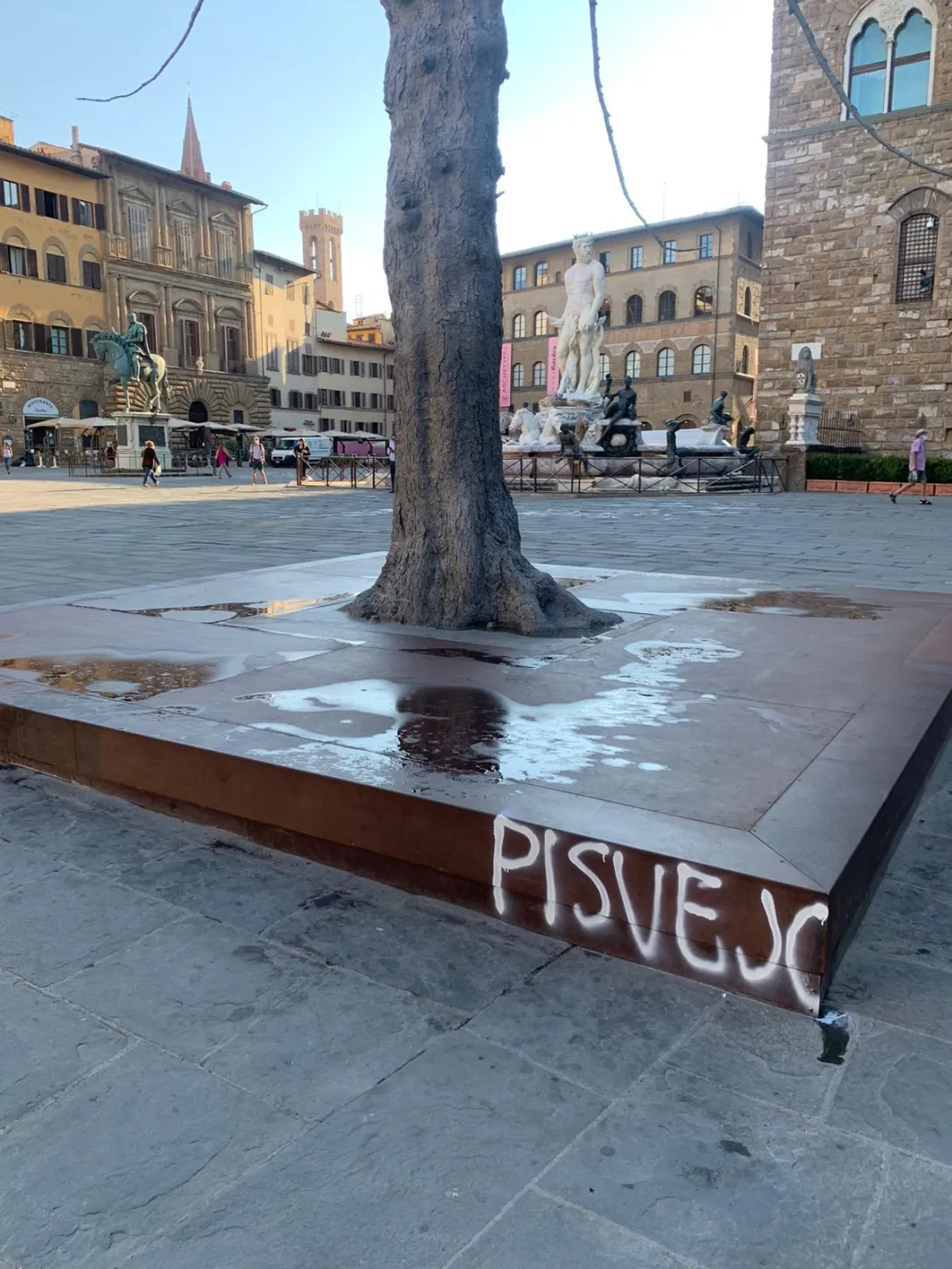 penone.jpg