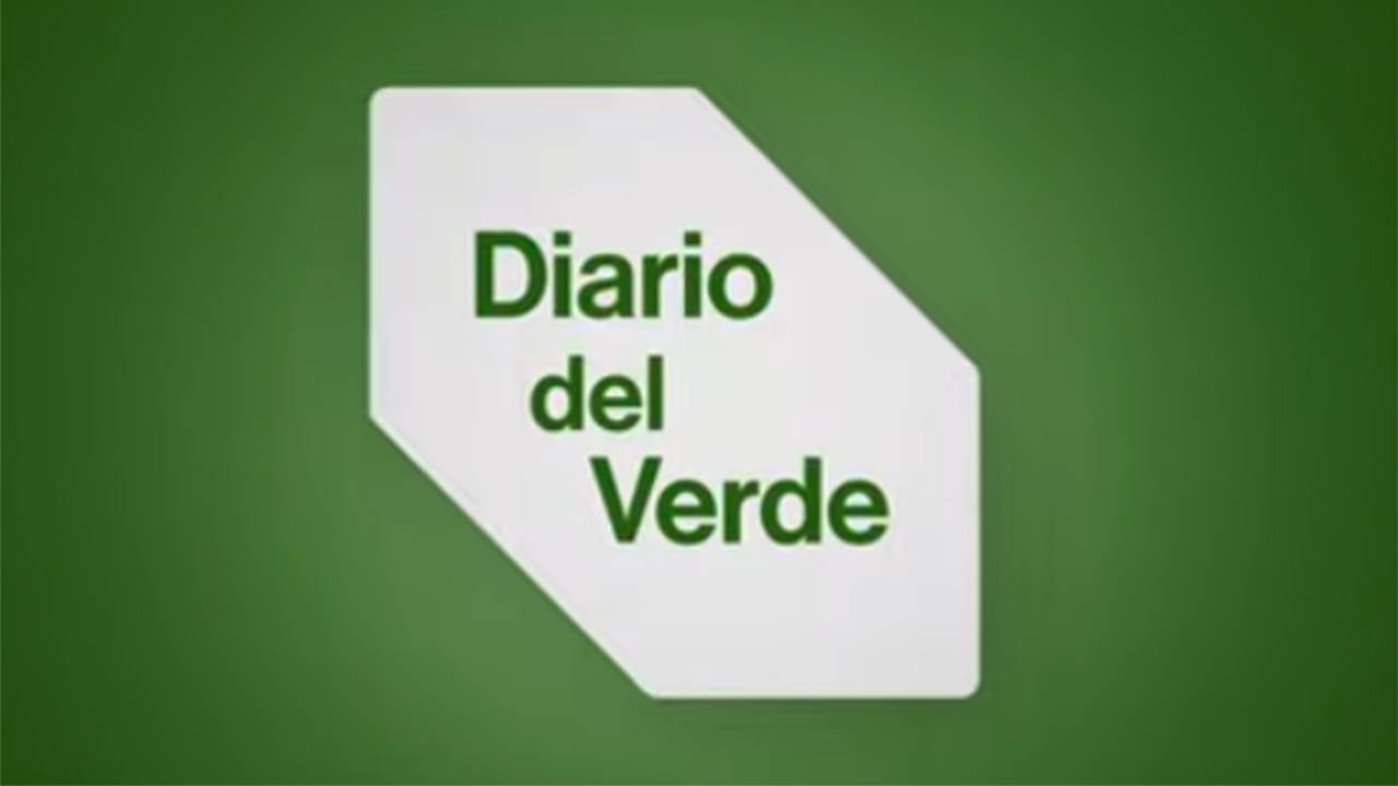 grafica diario del verde