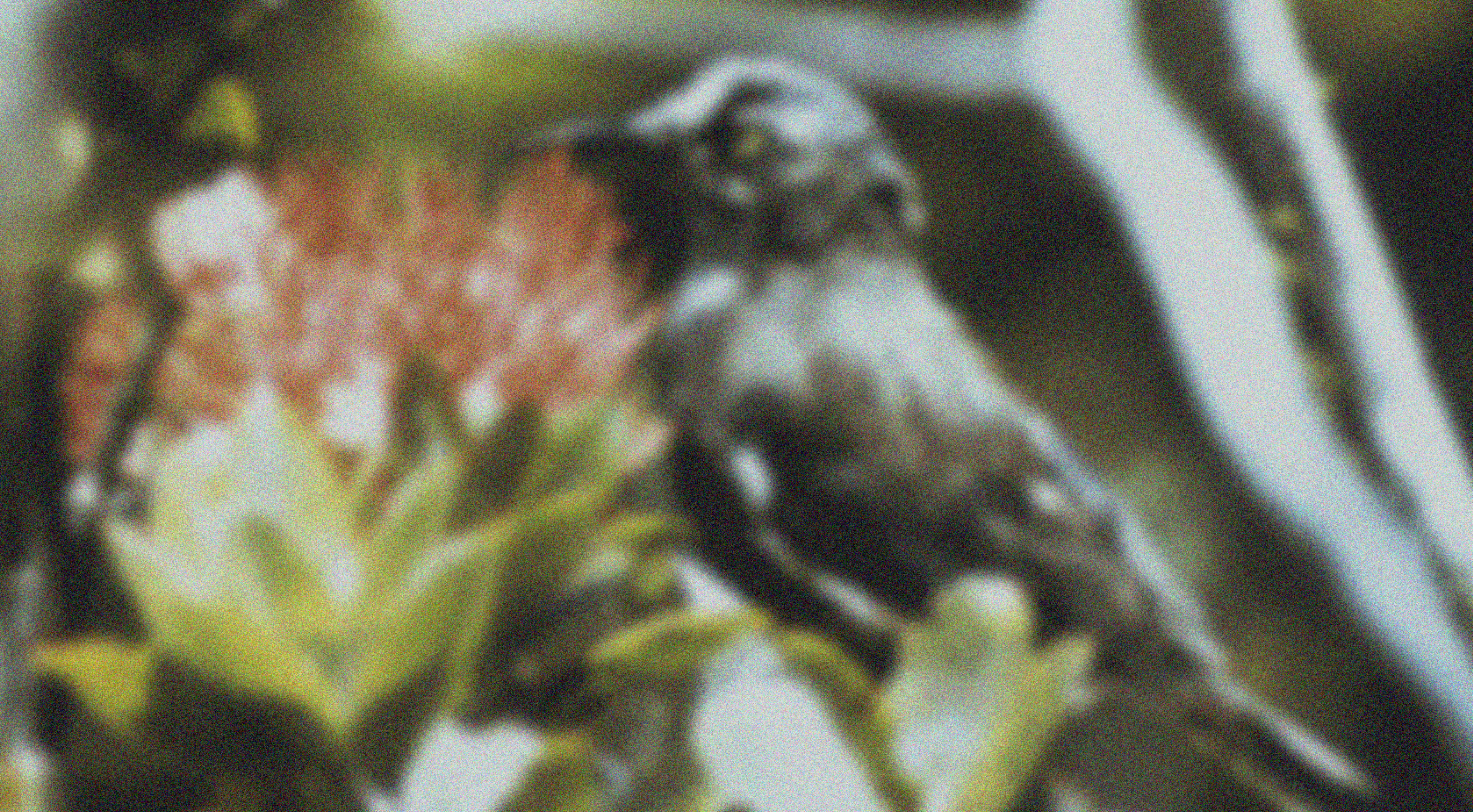 Opening loss for an hour