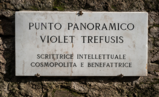 targa belvedere trefusis