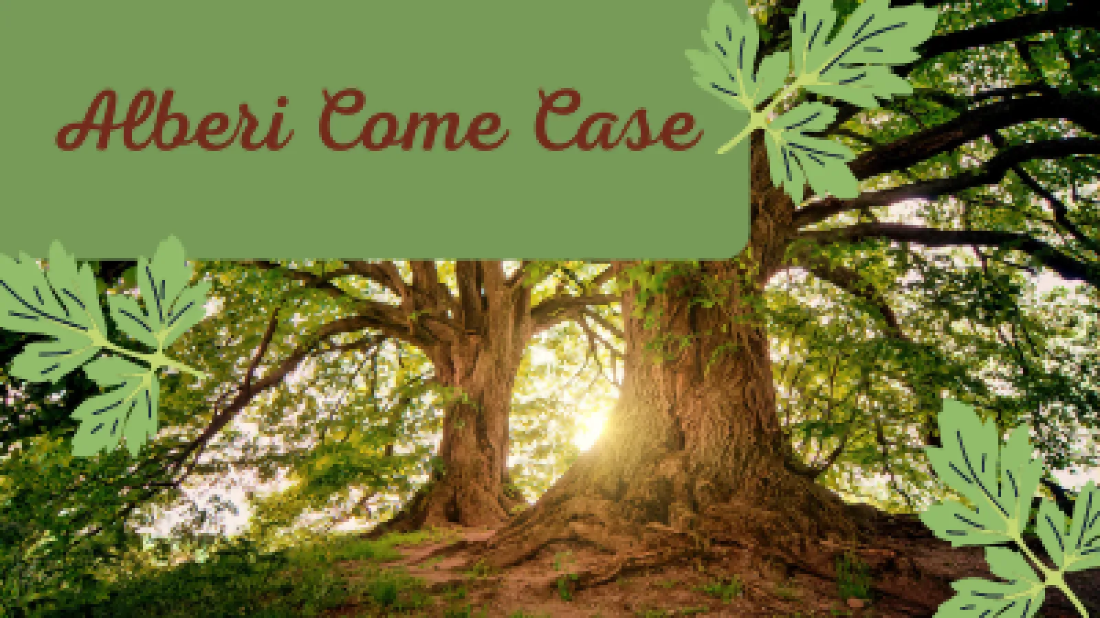 alberi come case alberi come case