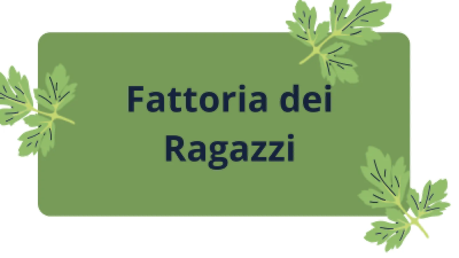 fattoria dei ragazzi Fattoria dei ragazzi
