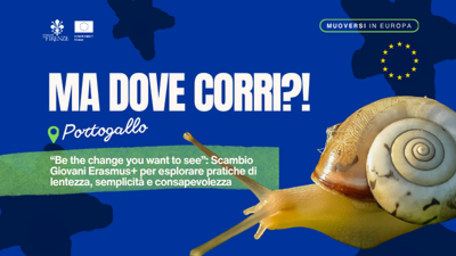 grafica su sfondo blu con foto di una chiocciola