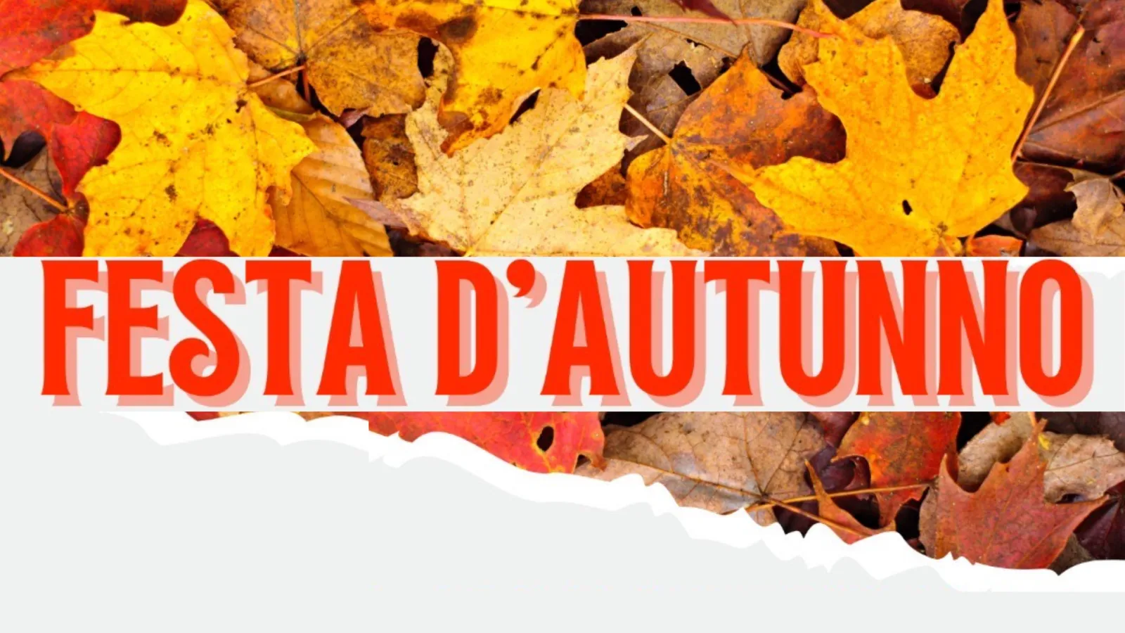 Festa d'autunno nel Quartiere 5 Quartieri
