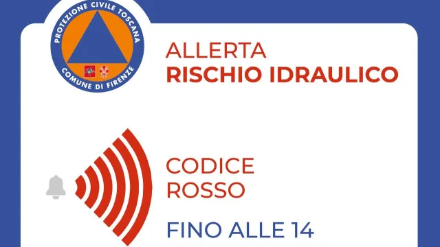 photo_2025-03-14_14-46-13.jpg photo_2025-03-14_14-46-13.jpg