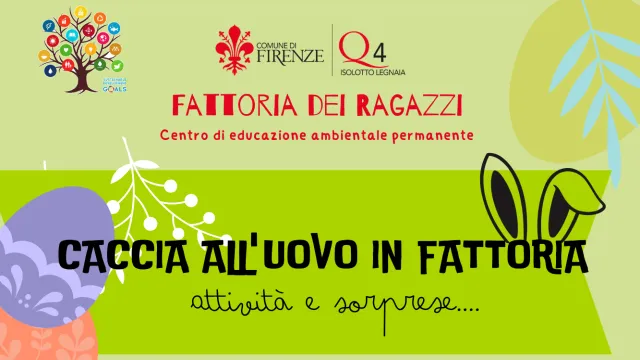 Educazione