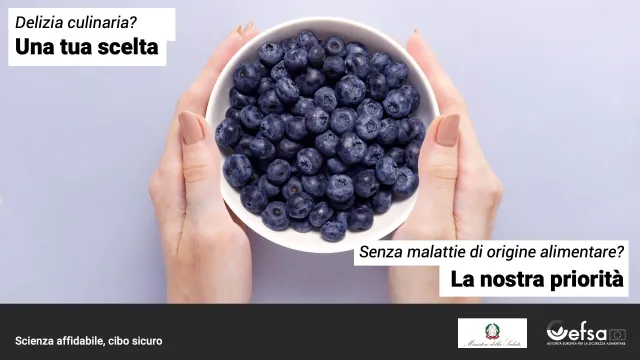 Tazza di mirtilli