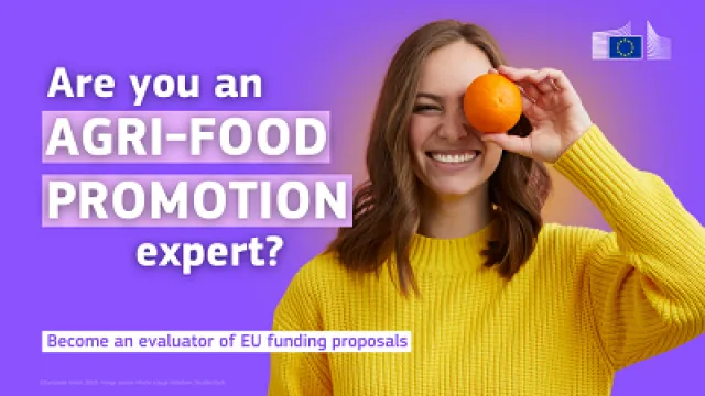 Europe Direct Firenze