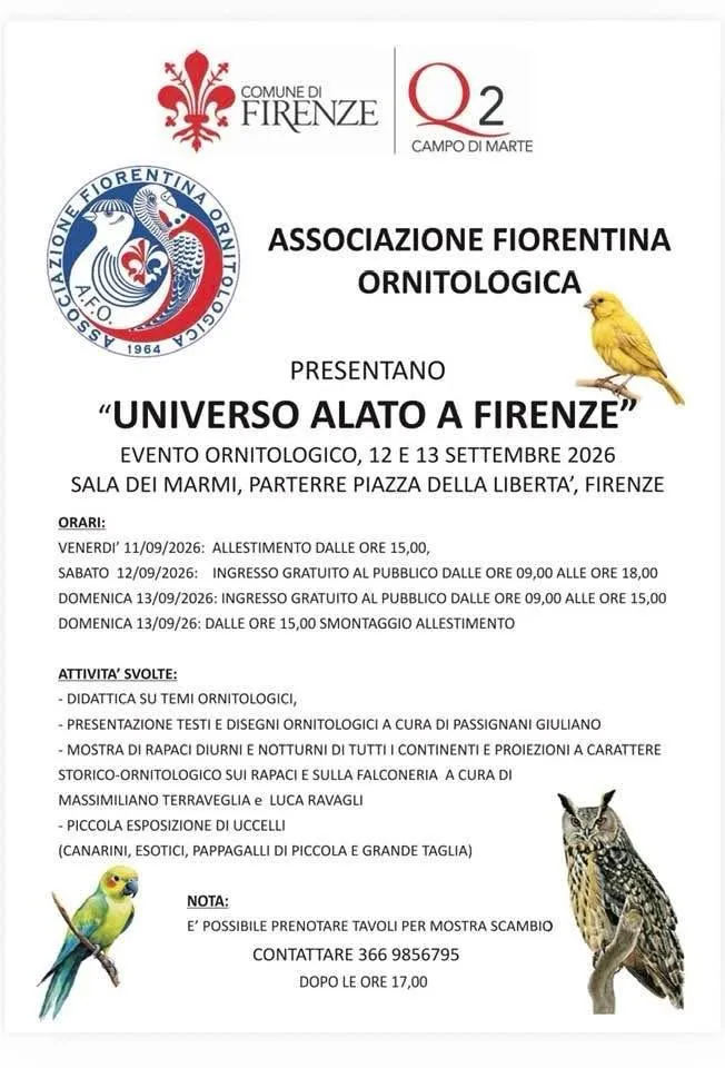 Universo alato