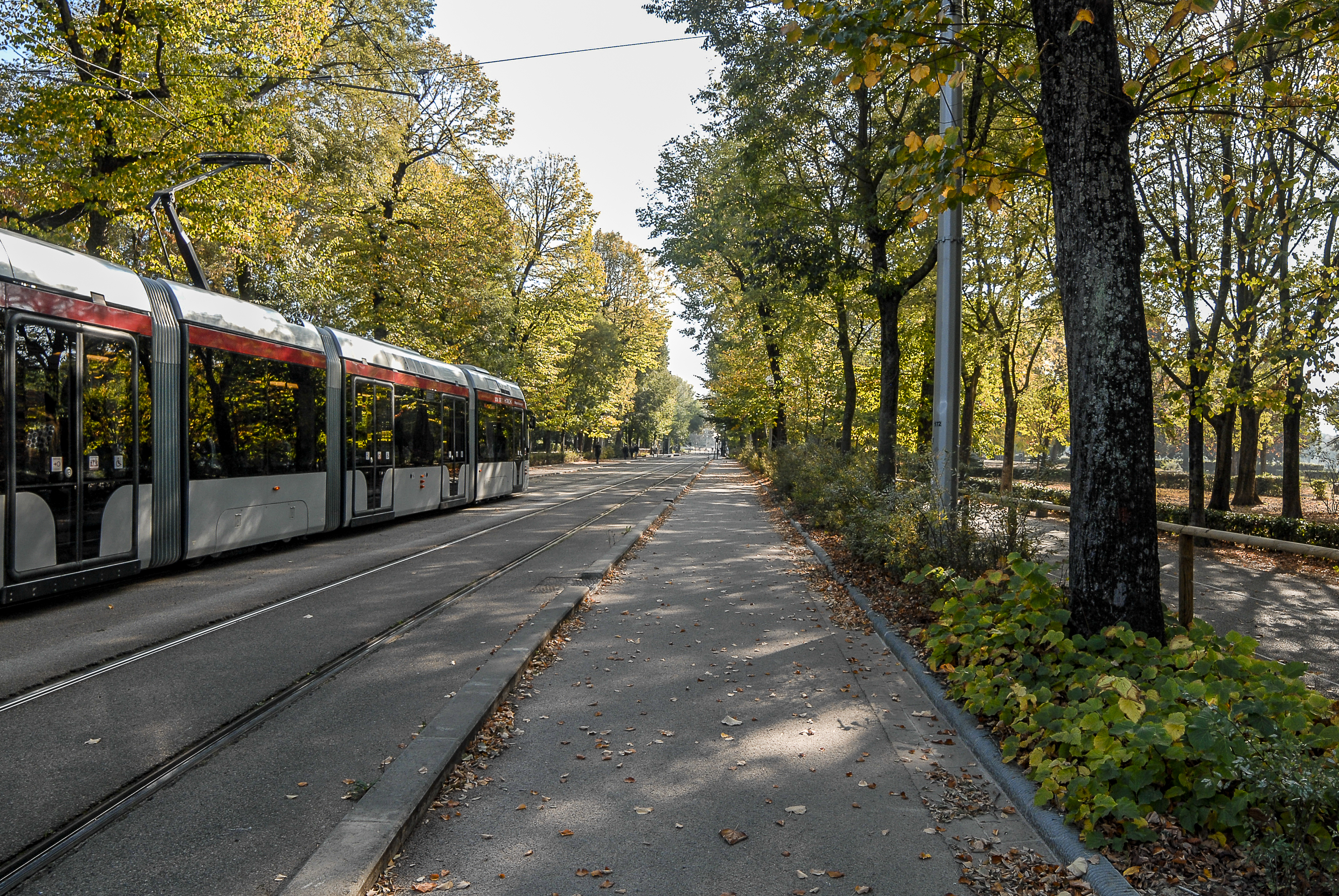Sistemazione a verde tramvia Sistemazione a verde tramvia