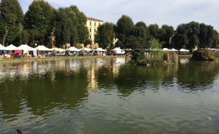 Fortezza antiquaria