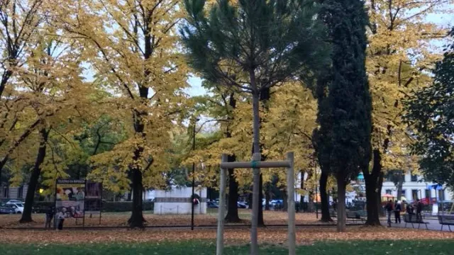 PIAZZA DALLA COSTA BIS.jpg