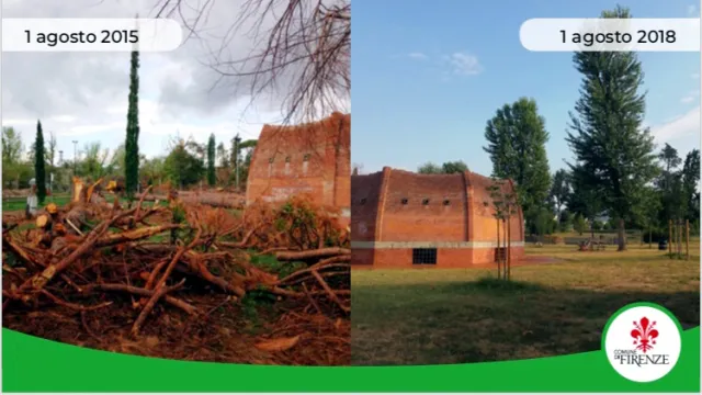 immagine che testimonia il ristabilito patrimonio arboreo