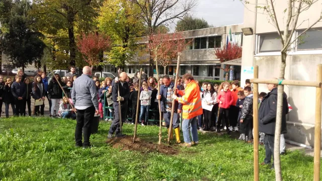 festa albero scuola Botticelli
