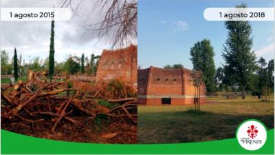 immagine che testimonia il ristabilito patrimonio arboreo