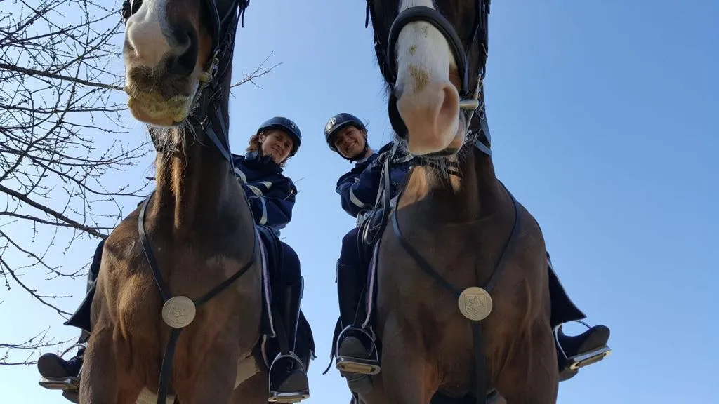 vigili a cavallo 2.jpeg vigili a cavallo 2.jpeg