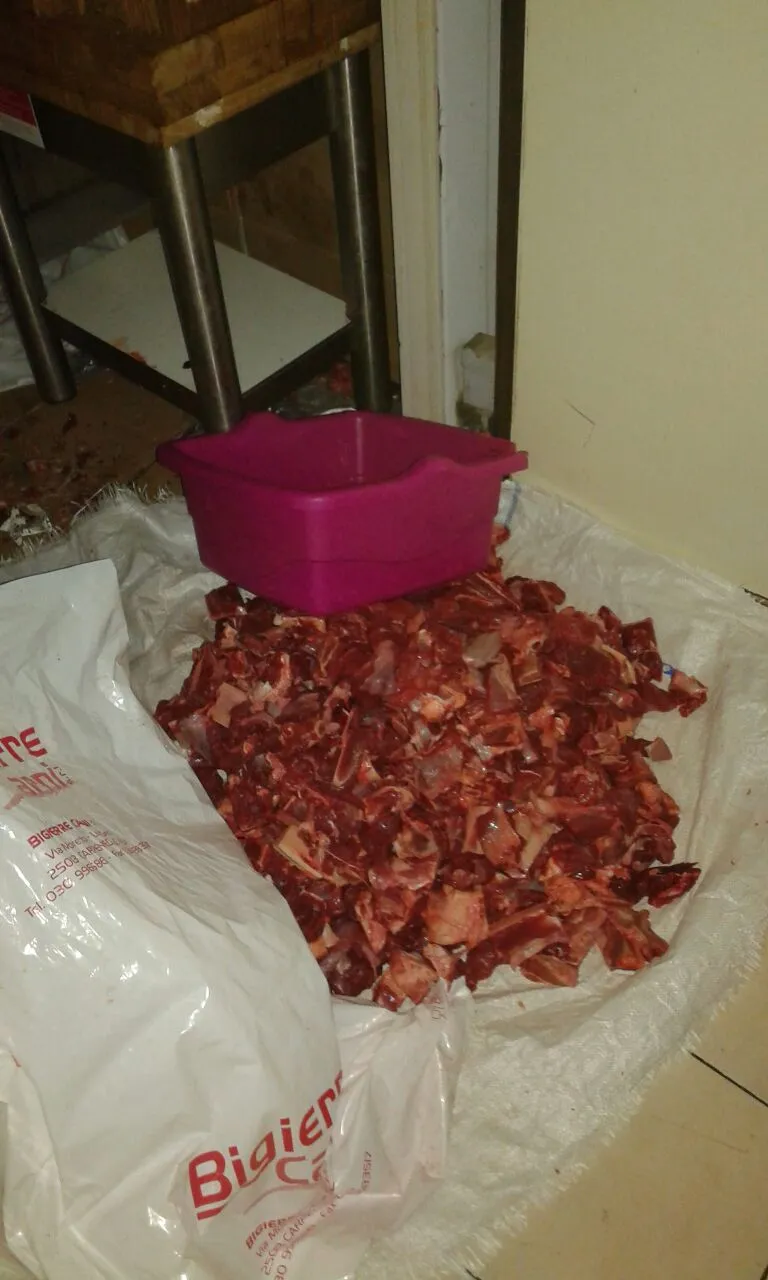 macelleria 5.jpeg macelleria 5.jpeg