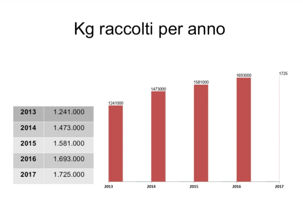 Rivesti_2.jpg