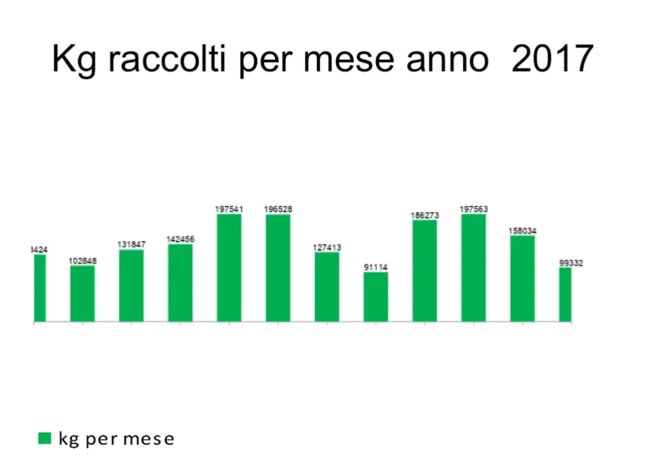 Rivesti_3.jpg