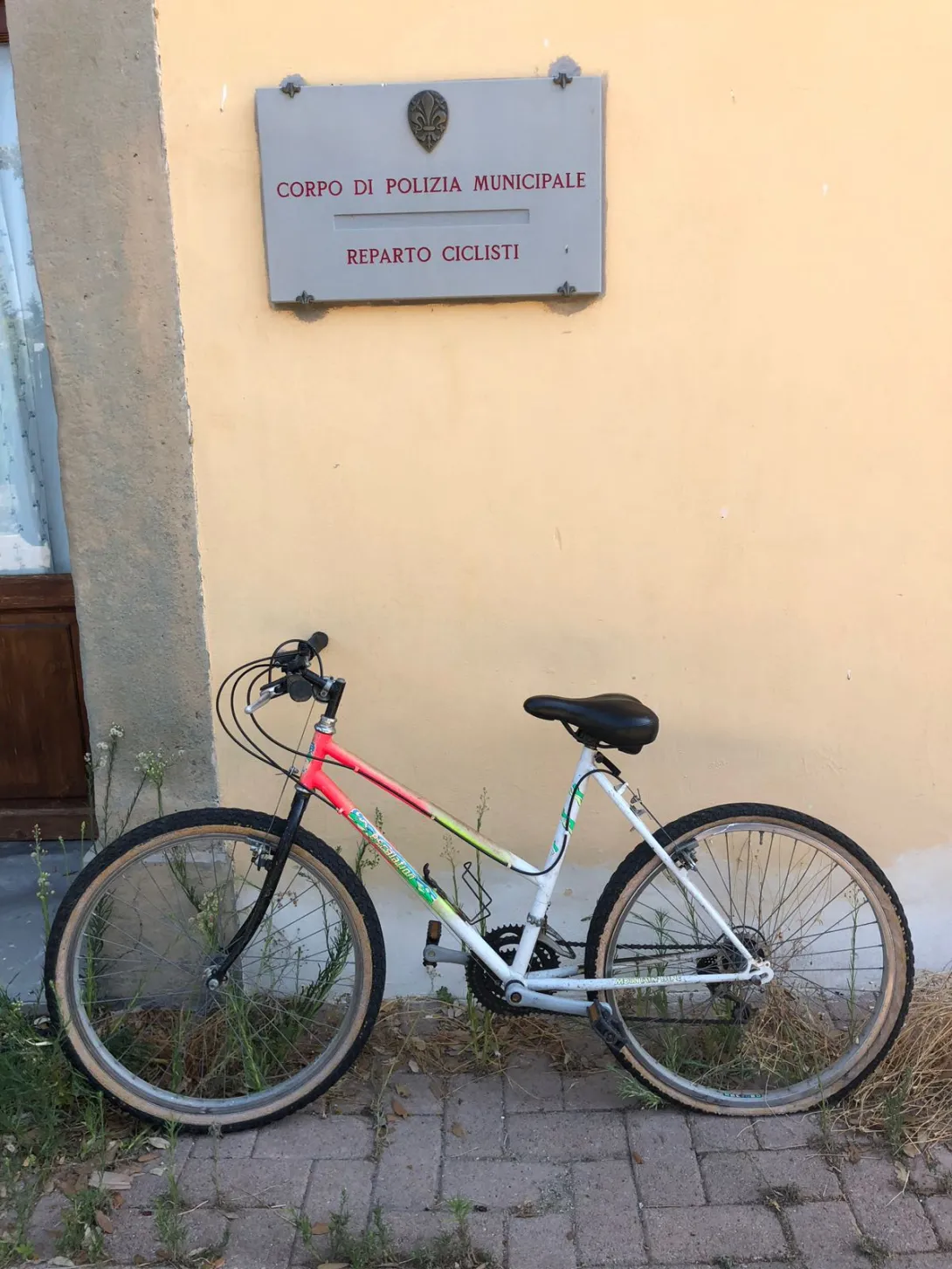 bici 1.jpeg bici 1.jpeg