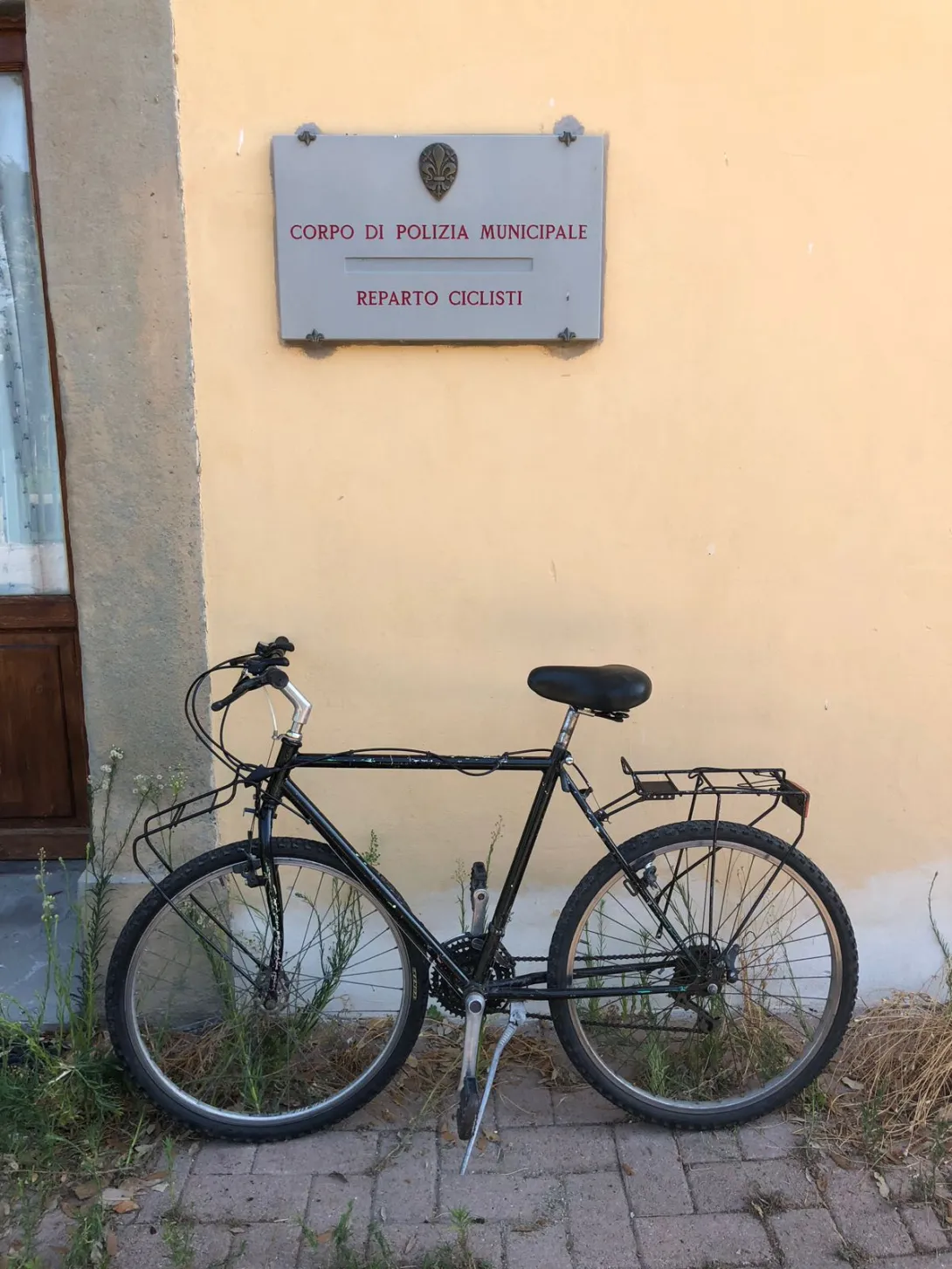 bici 2.jpeg bici 2.jpeg