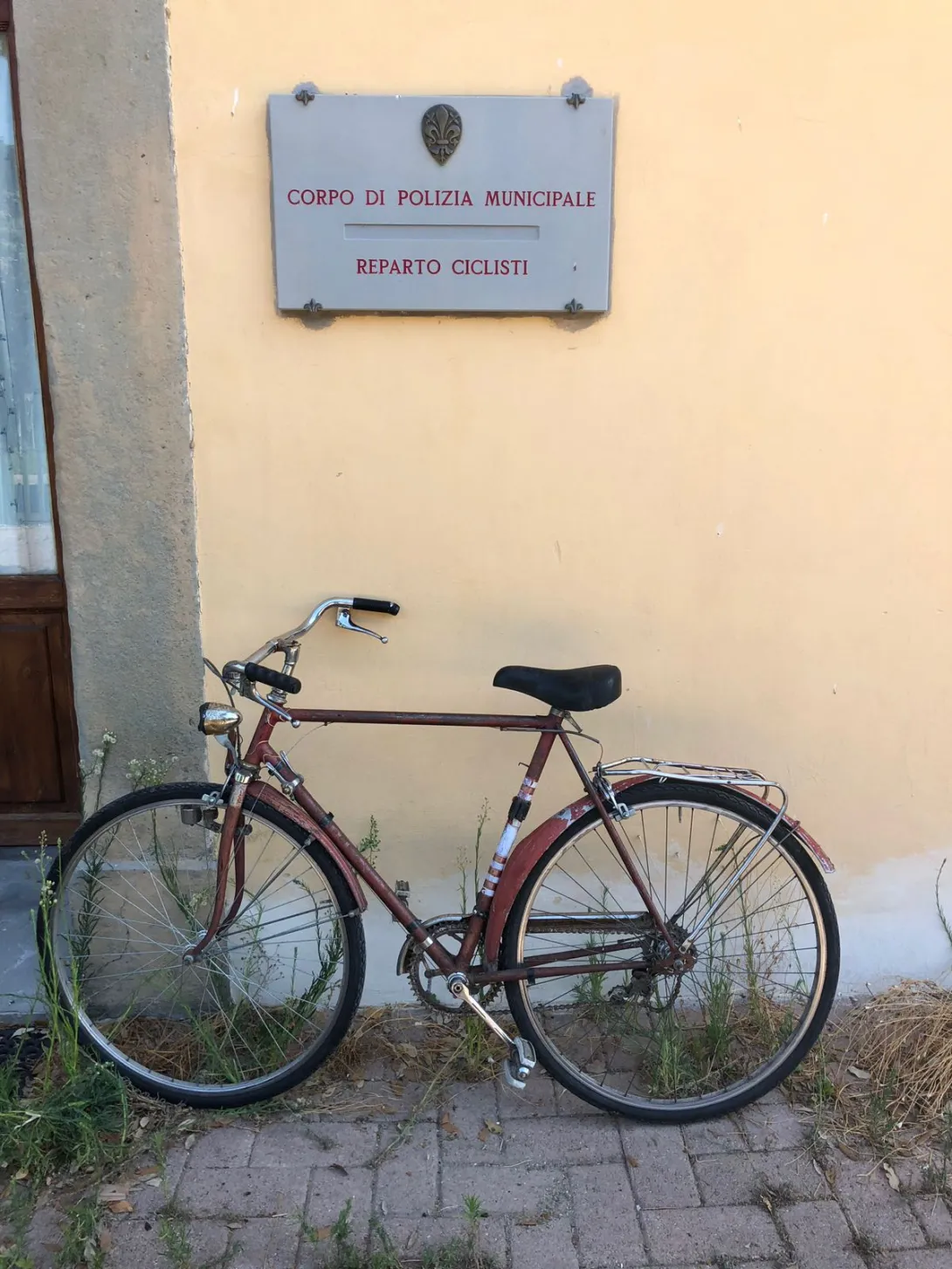 bici 3.jpeg bici 3.jpeg