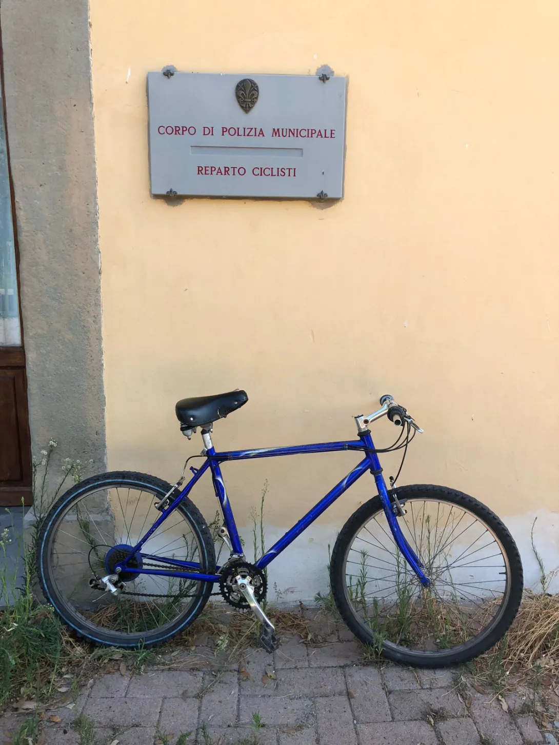 bici 5.jpeg bici 5.jpeg