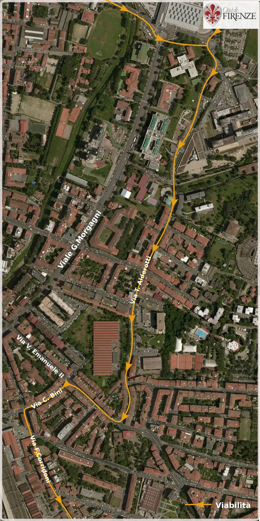 dalmazia alderotti.png