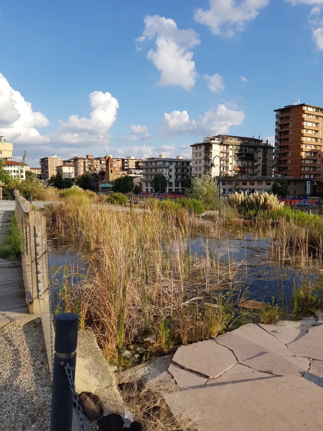sandonato5.jpg