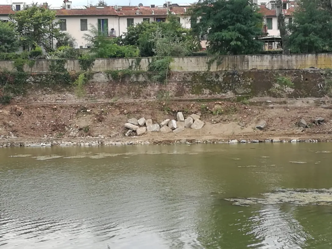 Abbattimenti in zona di Nave a Rovezzano Abbattimenti in zona di Nave a Rovezzano