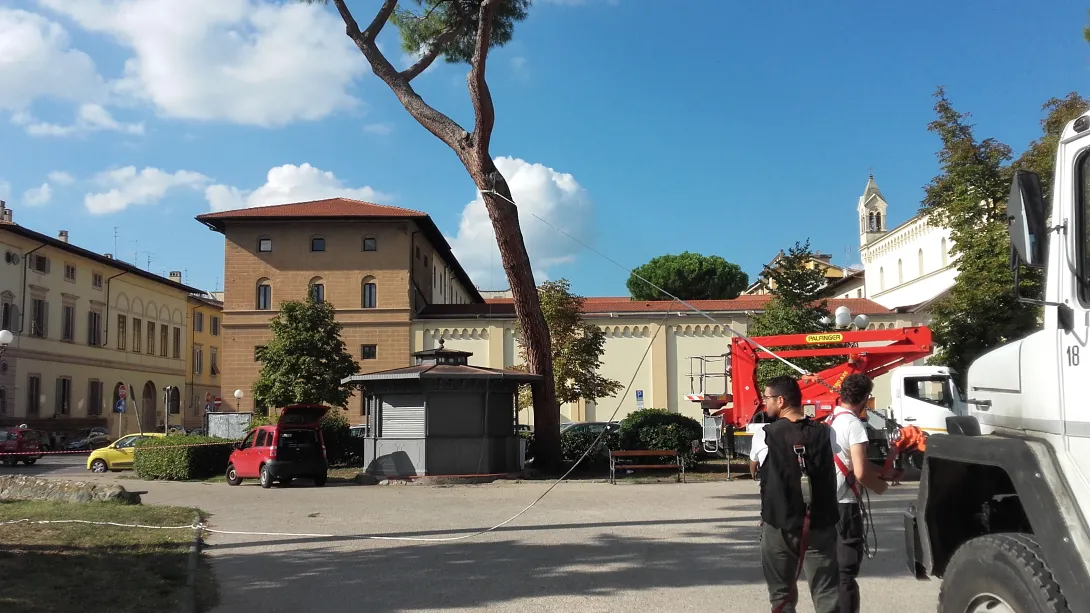 Prove di trazione.jpg