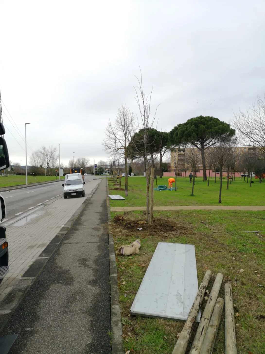 Alberi_5.jpg