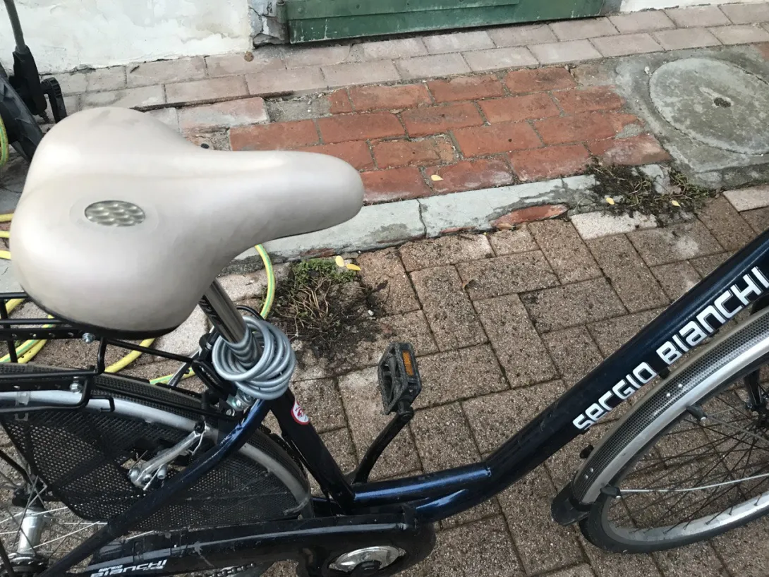 Bianchi1_0.jpg