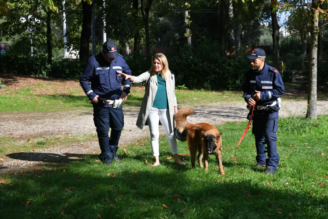 cascine 2.jpeg