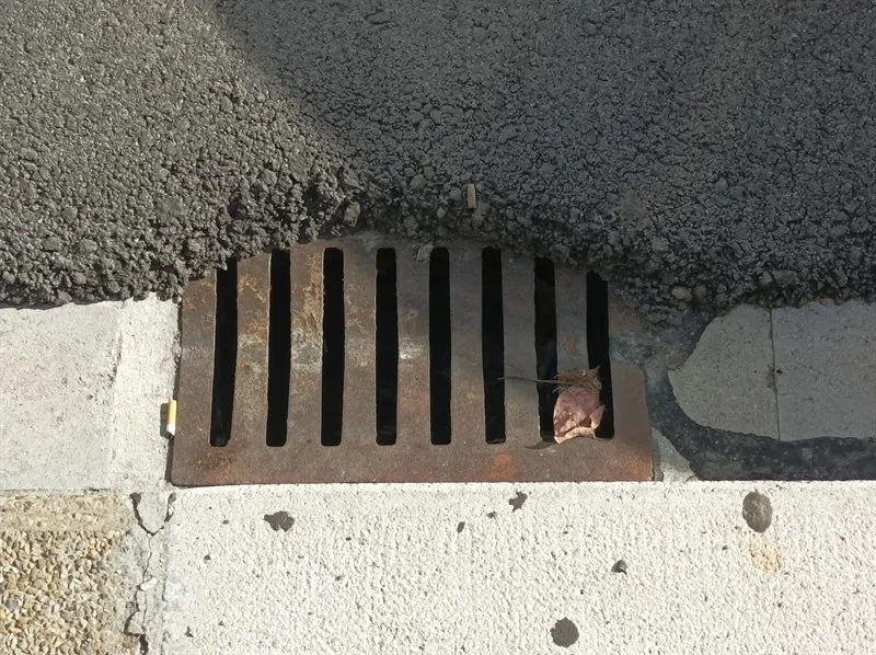Caditoia istruita