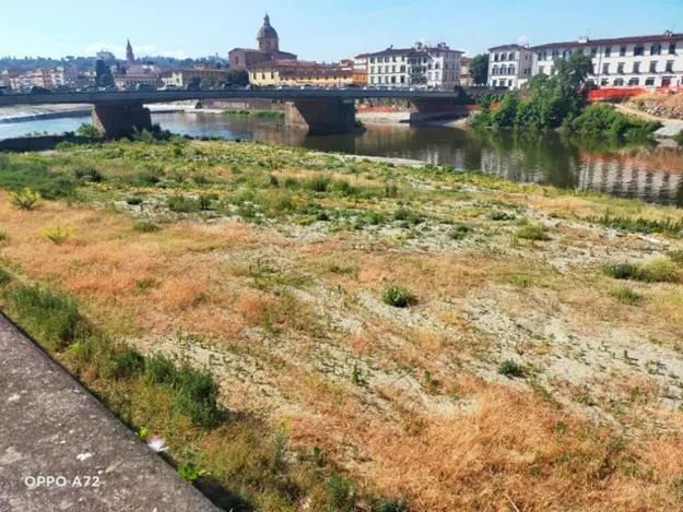 dune arno.jpeg